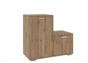 Обувницы в Кургане