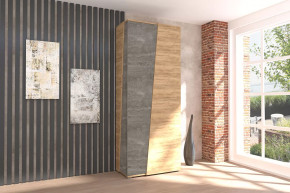 Аллегро-10 Шкаф двухдверный Диал в Кургане - kurgan.mebel-tymen.ru | фото