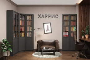 Библиотека Харрис в Кургане - kurgan.mebel-tymen.ru | фото