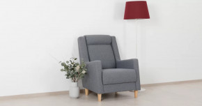 Дилан Кресло для отдыха арт. ТК 423 в Кургане - kurgan.mebel-tymen.ru | фото