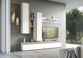 Гостиная НАО-Моно №1 в Кургане - kurgan.mebel-tymen.ru | фото