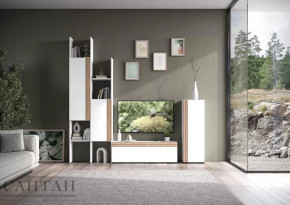 Гостиная НАО-Моно №3 в Кургане - kurgan.mebel-tymen.ru | фото