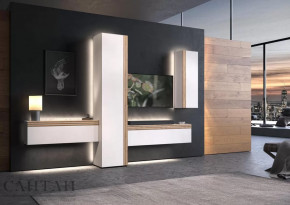 Гостиная НАО-Моно №7 в Кургане - kurgan.mebel-tymen.ru | фото