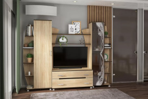 Гостиная Тиана-3 (Дуб Сонома) в Кургане - kurgan.mebel-tymen.ru | фото