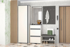 Иннэс-12  Прихожая №1 Диал в Кургане - kurgan.mebel-tymen.ru | фото