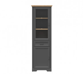 JASMIN шкаф REG1W1D1S (Графит/ Дуб артизан) в Кургане - kurgan.mebel-tymen.ru | фото