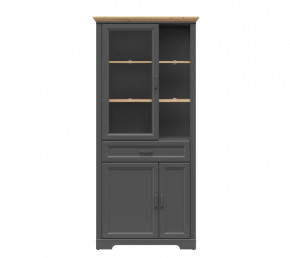 JASMIN шкаф REG1W2D1S (Графит/ Дуб артизан) в Кургане - kurgan.mebel-tymen.ru | фото