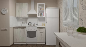 Кухонный гарнитур Алина мини 1000 мм в Кургане - kurgan.mebel-tymen.ru | фото