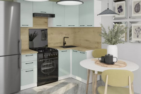 Кухонный гарнитур Лиора оптима 5 1200х2000 мм в Кургане - kurgan.mebel-tymen.ru | фото