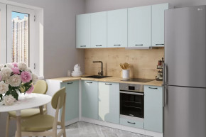 Кухонный гарнитур Лиора прайм 400 1100х2000 мм в Кургане - kurgan.mebel-tymen.ru | фото