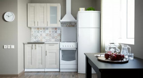 Кухонный гарнитур Лира мини 1000 мм в Кургане - kurgan.mebel-tymen.ru | фото