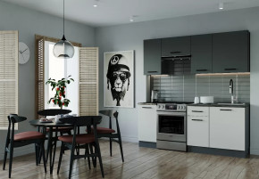 Кухонный гарнитур Лофт-2000 столешница 26 мм в Кургане - kurgan.mebel-tymen.ru | фото