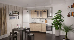 Кухонный гарнитур Ника стандарт 1600 мм в Кургане - kurgan.mebel-tymen.ru | фото