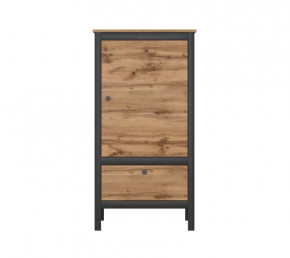 LOFT шкаф REG1D1S/60 (Дуб вотан/Черный) в Кургане - kurgan.mebel-tymen.ru | фото