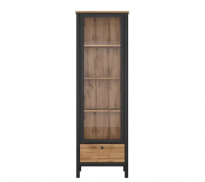 LOFT шкаф REG1W1S (Дуб вотан/Черный) в Кургане - kurgan.mebel-tymen.ru | фото