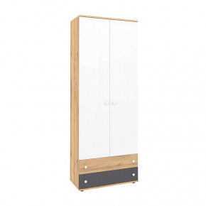 Лойс 92 Шкаф для одежды и белья в Кургане - kurgan.mebel-tymen.ru | фото