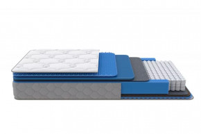 Матрас SS/M (Medium Low Plus) 900*2000 мм в Кургане - kurgan.mebel-tymen.ru | фото