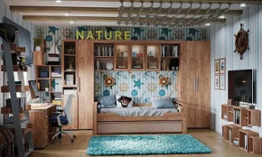 Модульная детская Nature в Кургане - kurgan.mebel-tymen.ru | фото