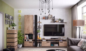 Модульная гостиная Nature в Кургане - kurgan.mebel-tymen.ru | фото