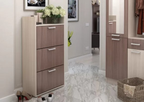 Обувница №2 Дели в Кургане - kurgan.mebel-tymen.ru | фото