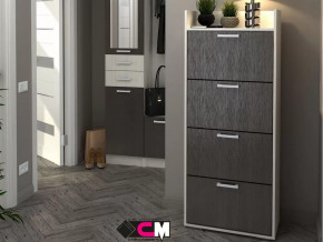 Обувница №3 Дели в Кургане - kurgan.mebel-tymen.ru | фото