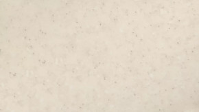 Панель пристенная 6х600х720 в Кургане - kurgan.mebel-tymen.ru | фото