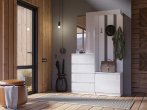 Прихожая Челси белый в Кургане - kurgan.mebel-tymen.ru | фото