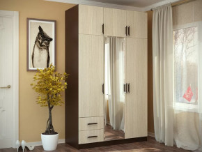 Шкаф 3-х створчатый с перегородкой венге/лоредо БТС в Кургане - kurgan.mebel-tymen.ru | фото