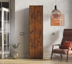 Шкаф JREG 1d Дуб саттер ИНДИАНА в Кургане - kurgan.mebel-tymen.ru | фото