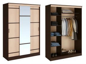 Шкаф-купе Сакура в Кургане - kurgan.mebel-tymen.ru | фото