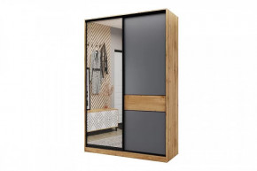 Шкаф-купе SLIM двухдверный BS15-6.ZD в Кургане - kurgan.mebel-tymen.ru | фото