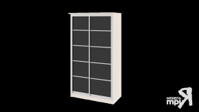 Шкаф-купе «Стэн» СМ-140.01.001 в Кургане - kurgan.mebel-tymen.ru | фото