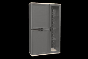 Шкаф многоцелевой ШК-1082 Карина в Кургане - kurgan.mebel-tymen.ru | фото