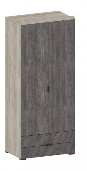 Шкаф Шаде ШК-2905 в Кургане - kurgan.mebel-tymen.ru | фото