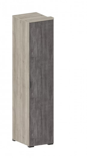 Шкаф Шаде ШК-2911 в Кургане - kurgan.mebel-tymen.ru | фото