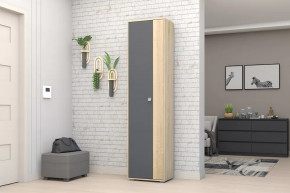 Шкаф ШК-01 Монако в Кургане - kurgan.mebel-tymen.ru | фото