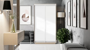 Шкафы-купе «Румер» в Кургане - kurgan.mebel-tymen.ru | фото