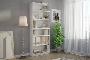 Стеллаж Бильд в Кургане - kurgan.mebel-tymen.ru | фото