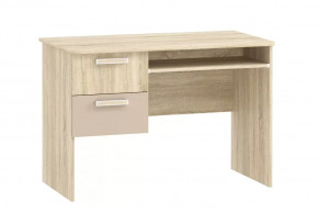 Стол для компьютера НМ 009.19-05 М2 Акварель в Кургане - kurgan.mebel-tymen.ru | фото