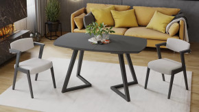 Стол обеденный «TESCA 2» Графит, Стекло графит матовое в Кургане - kurgan.mebel-tymen.ru | фото