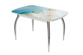 Стол овальный Бостон-2 Белая орхидея, 1100*700 мм, хром триумф в Кургане - kurgan.mebel-tymen.ru | фото