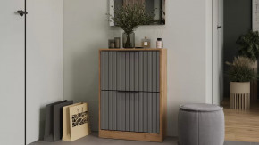 Тумба для обуви «Хилтон» Исп.2 Дуб Крафт золотой, Графит матовый в Кургане - kurgan.mebel-tymen.ru | фото