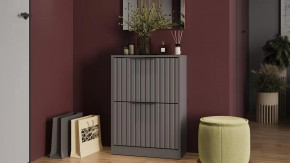 Тумба для обуви «Хилтон» Исп.2 Серый графит, Графит матовый в Кургане - kurgan.mebel-tymen.ru | фото