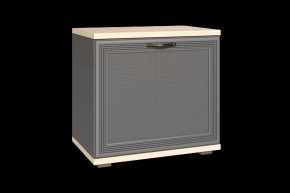 Тумба для обуви ТБ-1042 Карина в Кургане - kurgan.mebel-tymen.ru | фото