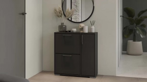 Тумба для обуви Тип 15 Антрацит в Кургане - kurgan.mebel-tymen.ru | фото